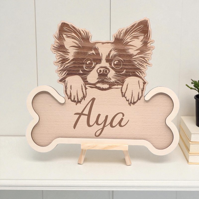 Os bois gravé, Chihuahua