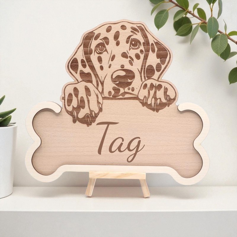 Os bois gravé, Dalmatien