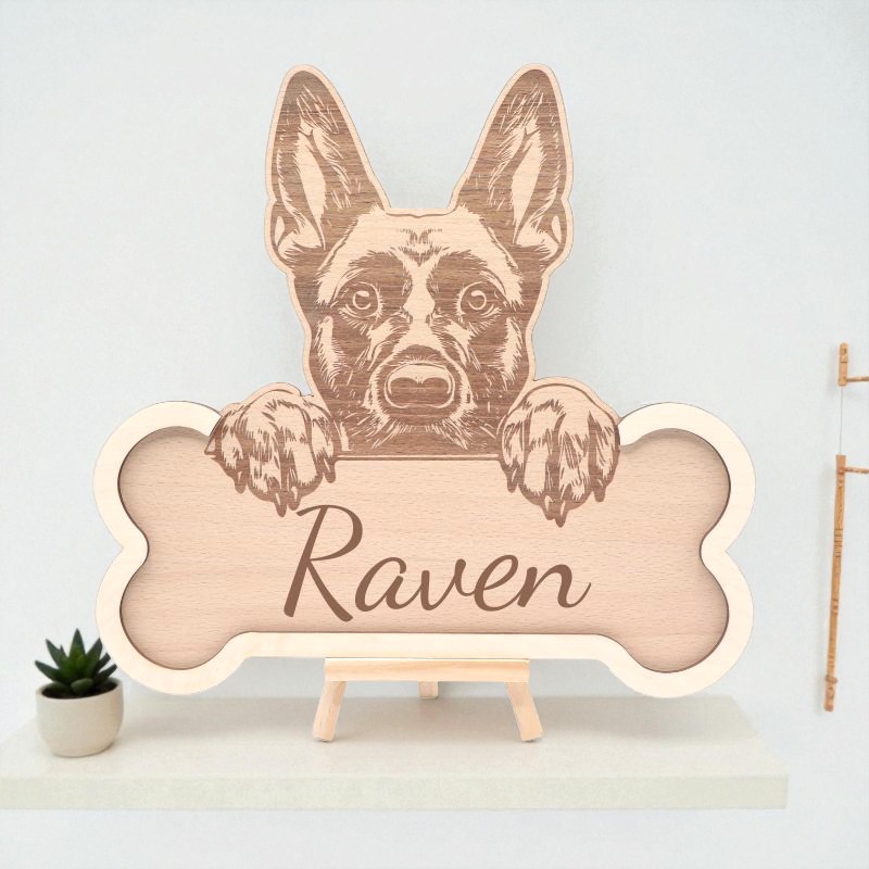 Os bois gravé, Malinois