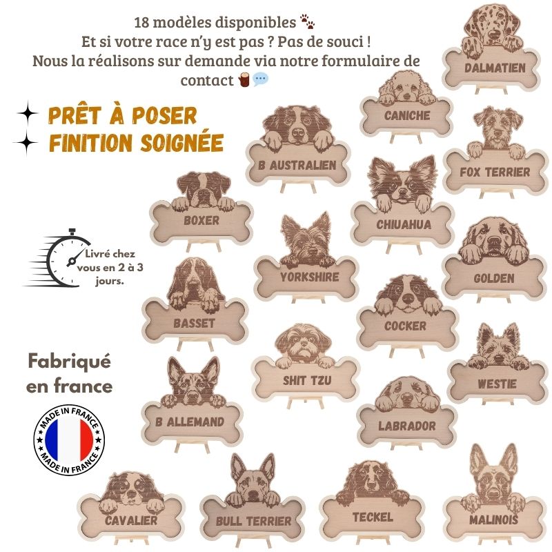 Os bois gravé, Cavalier King Charles