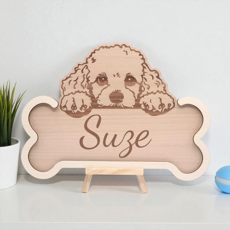 Os bois gravé, Caniche