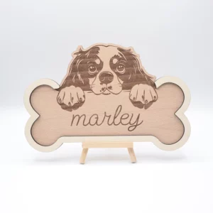 Os bois gravé, Cavalier King Charles