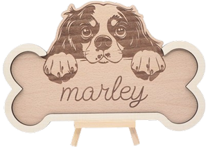 os chien personnalise